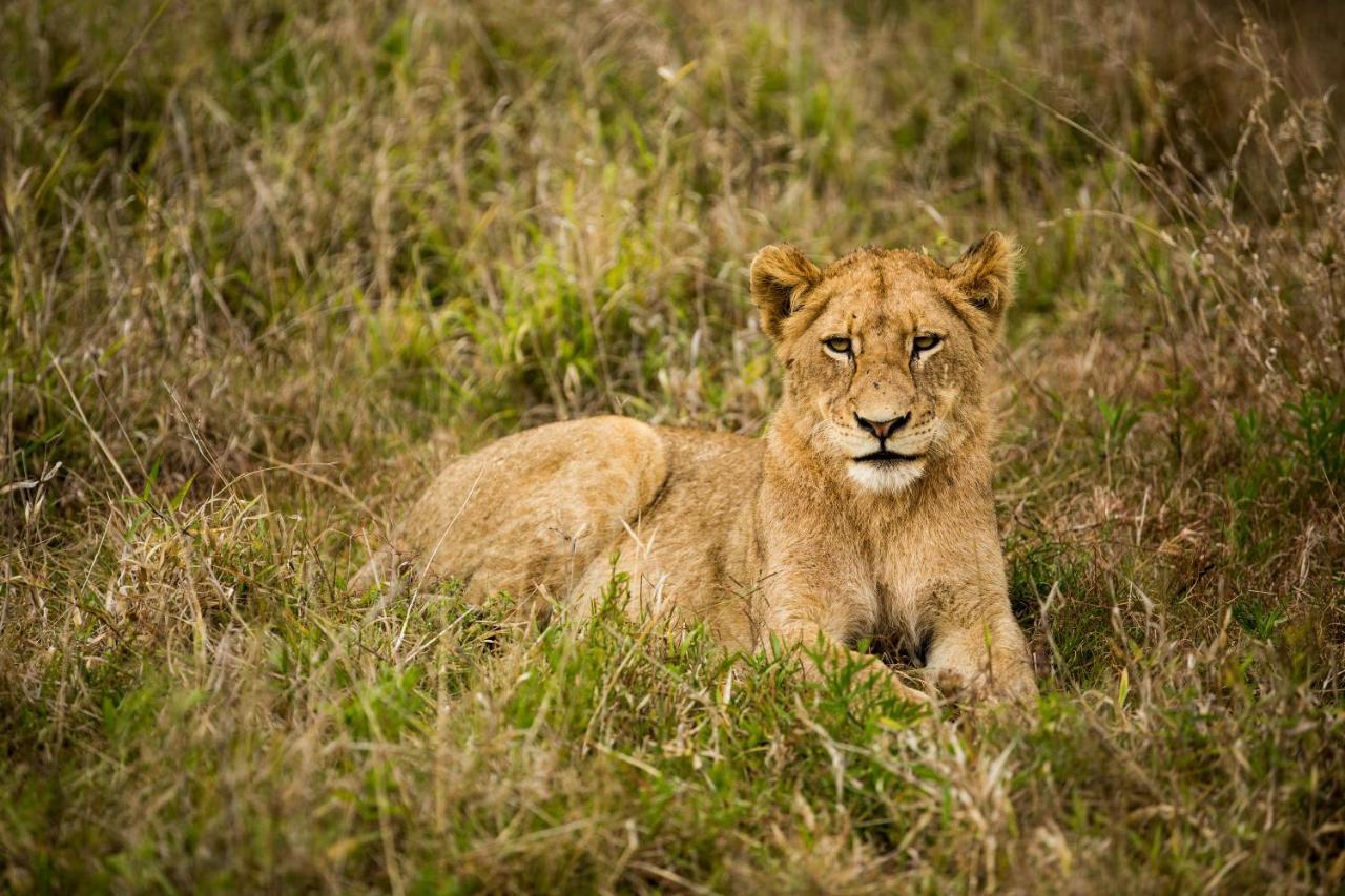 Hamiltons Tented Camp Mluwati Concession Exterior foto