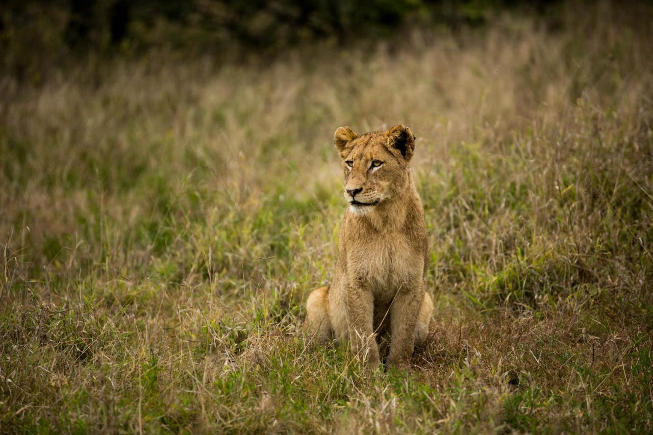 Hamiltons Tented Camp Mluwati Concession Exterior foto