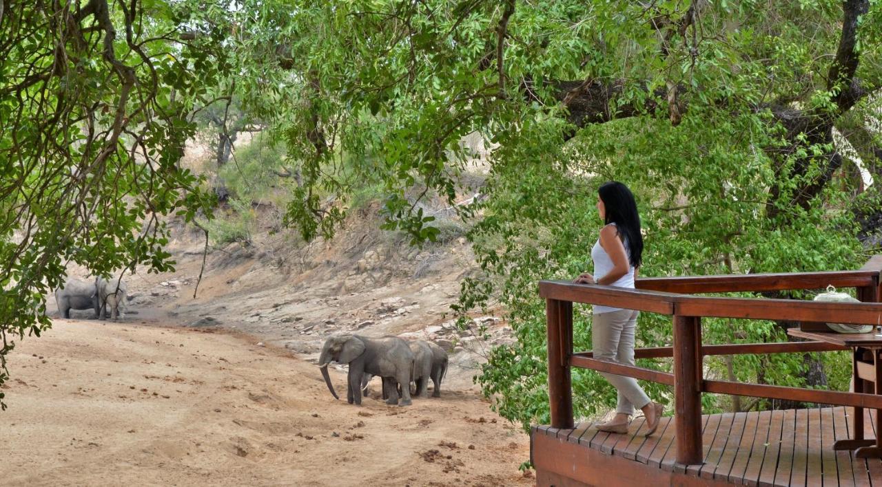 Hamiltons Tented Camp Mluwati Concession Exterior foto