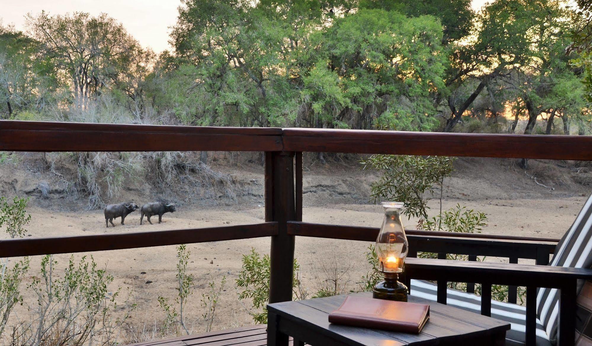 Hamiltons Tented Camp Mluwati Concession Exterior foto