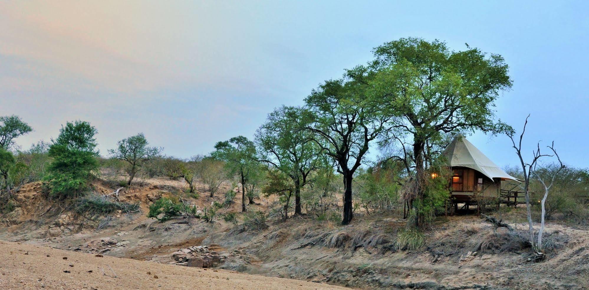 Hamiltons Tented Camp Mluwati Concession Exterior foto